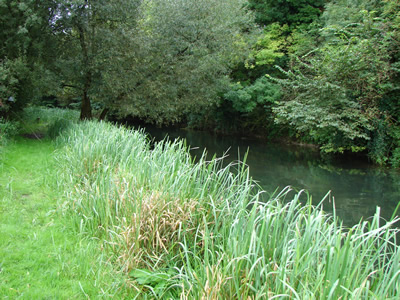 River Avon Stonehenge